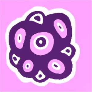 Meet your Posher, Katelyn